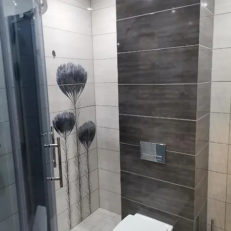 Widok Polana Szaflarska