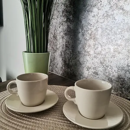 Widok Polana Szaflarska Apartman